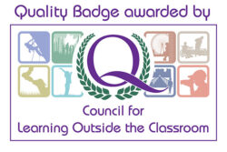 Council For Learning