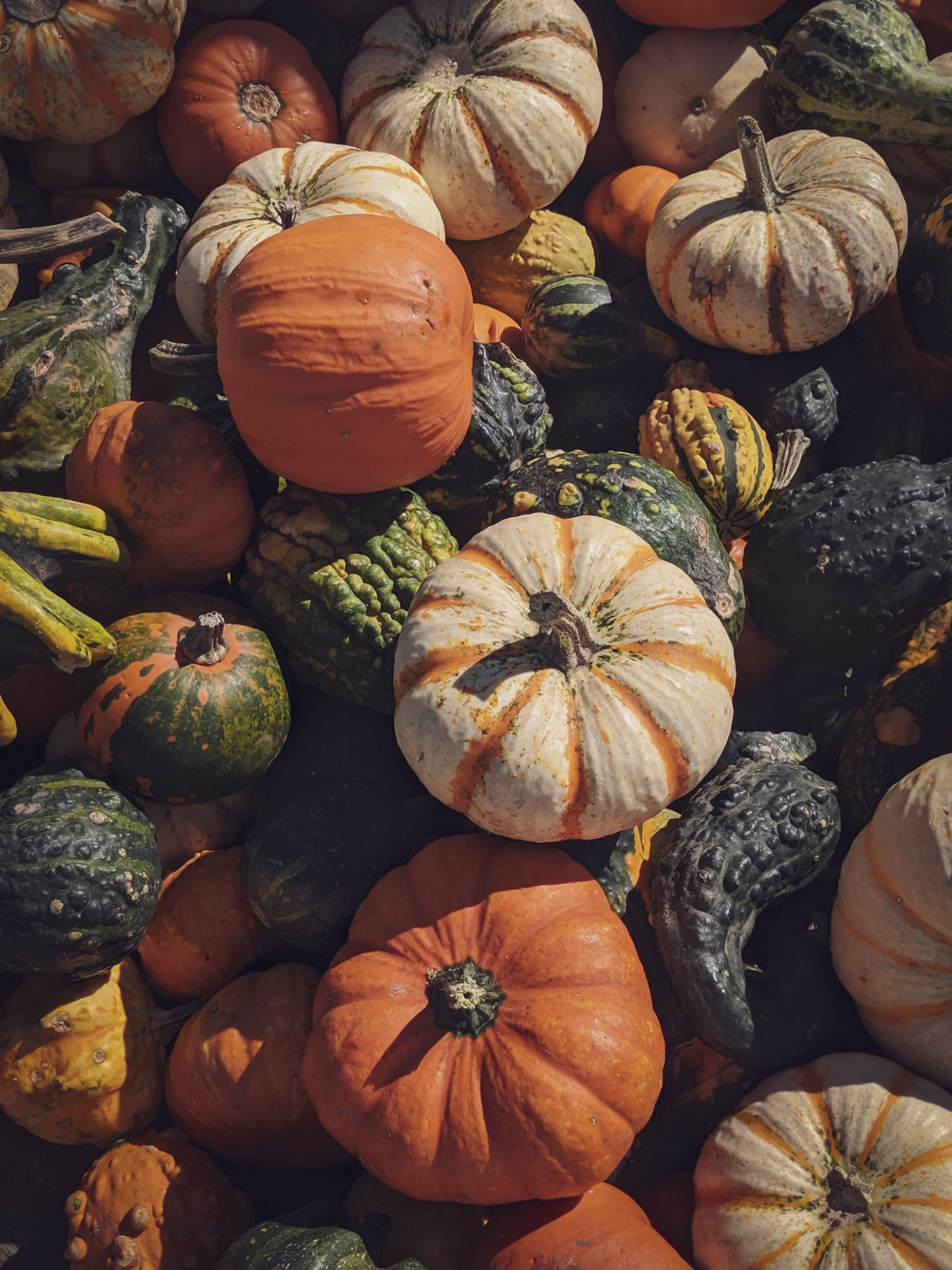 Pumpkins